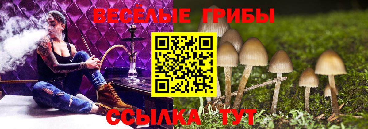 Галлюциногенные грибы Magic Shrooms Волгодонск
