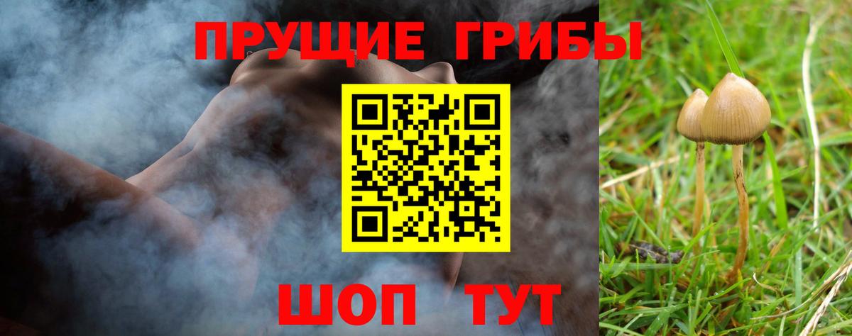 Псилоцибиновые грибы GOLDEN TEACHER  цены   Волгодонск  Вход с VPN  Псилоцибиновые грибы мицелий 